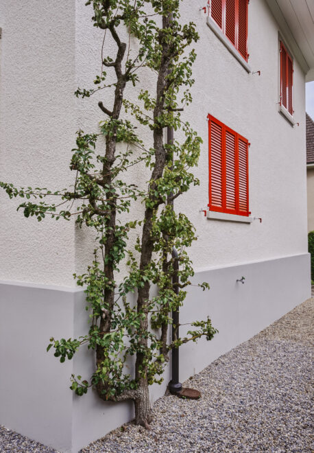 DSC09654